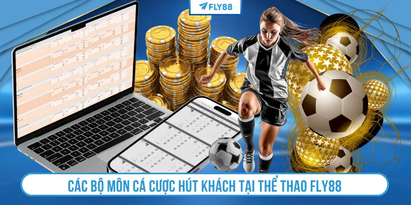 Các bộ môn cá cược hút khách tại thể thao FLY88