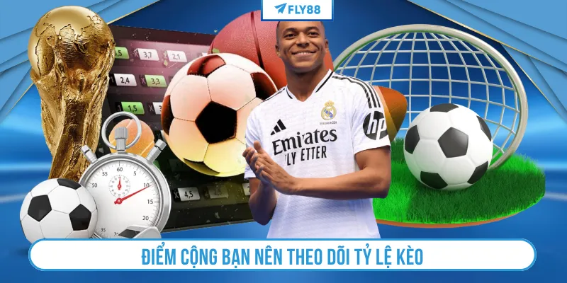 Điểm cộng bạn nên theo dõi tỷ lệ kèo