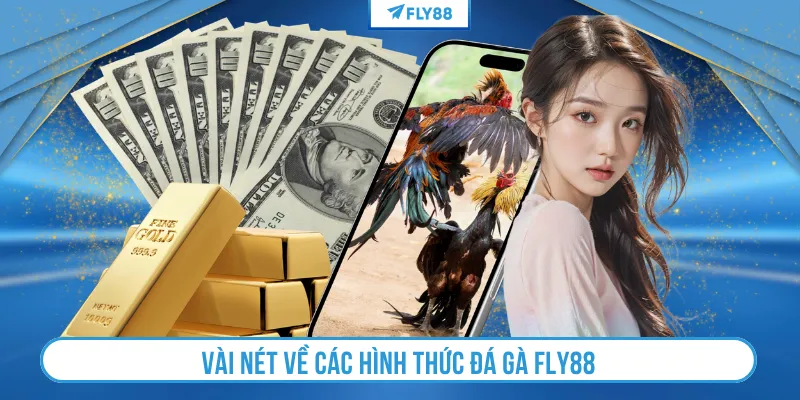 Vài nét về các hình thức đá gà FLY88
